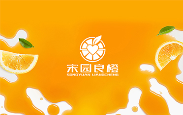 某良橙——石家庄LOGO设计